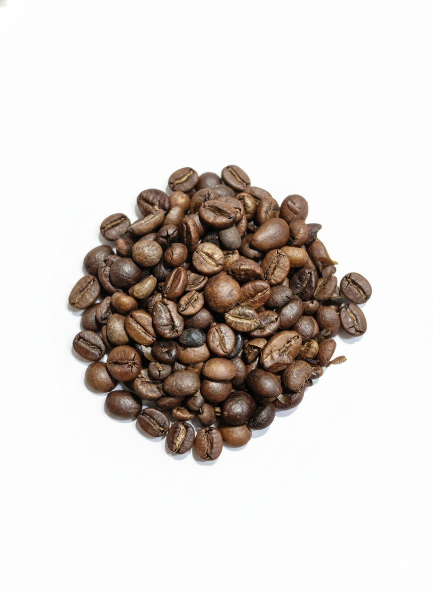 Coffee Bean Robusta