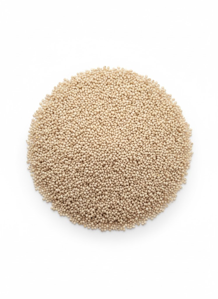 Little Millets (Chama)